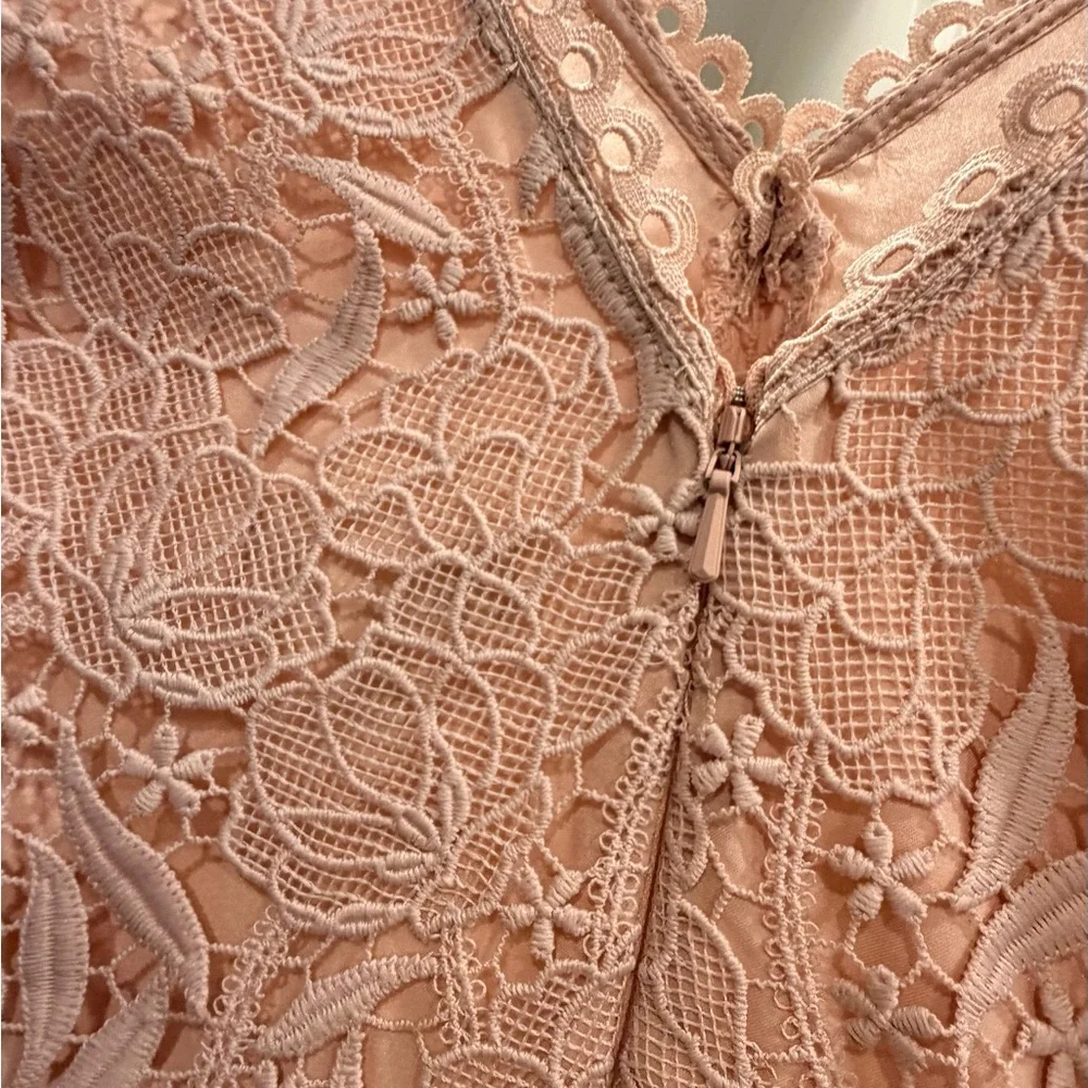 NWT Monique Lhuillier Blush Lace Maxi Dress Gown Sz 4 - Picture 5 of 10